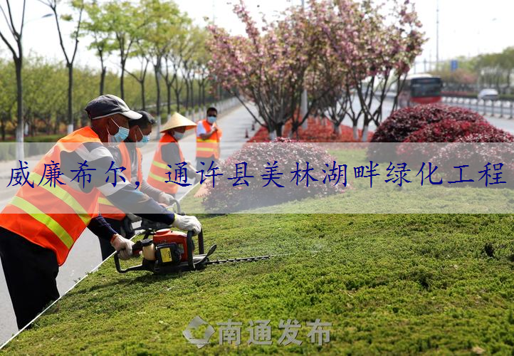 通许县美林湖畔绿化工程