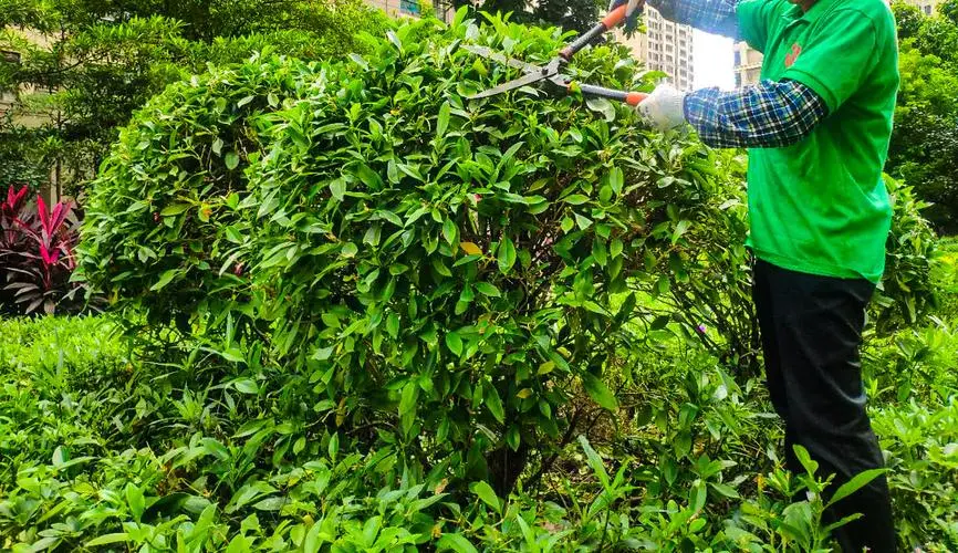 企业园林管理困扰：缺乏科技手段与数字化管理工具