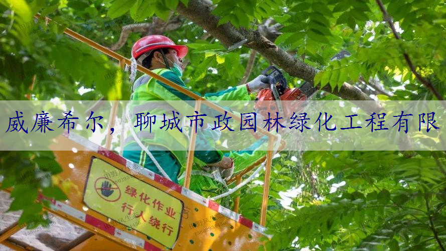 聊城市政园林绿化工程有限