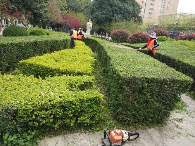 西沙左岸小区景观绿化工程