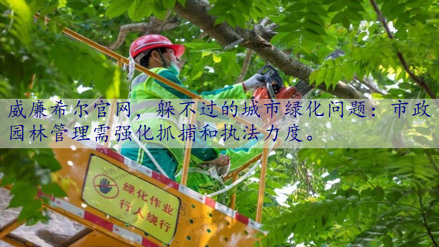 躲不过的城市绿化问题：市政园林管理需强化抓捕和执法力度。