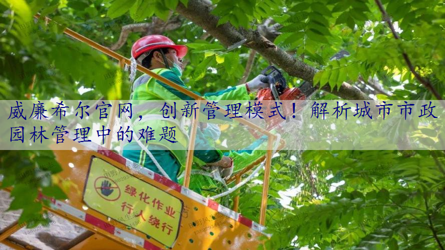 创新管理模式！解析城市市政园林管理中的难题